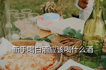 新手喝白酒應(yīng)該喝什么酒