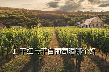 1. 干紅與干白葡萄酒哪個好