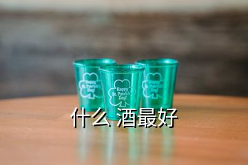 什么 酒最好