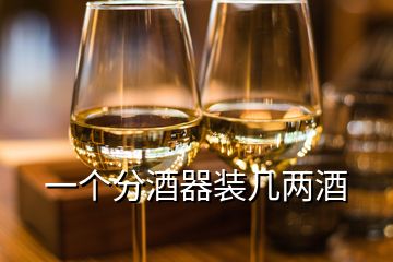 一個分酒器裝幾兩酒