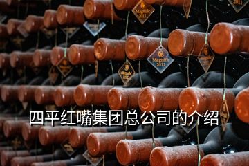 四平紅嘴集團總公司的介紹