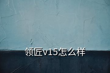 領(lǐng)匠v15怎么樣