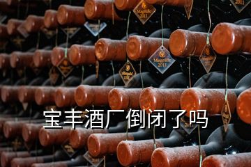 寶豐酒廠(chǎng)倒閉了嗎