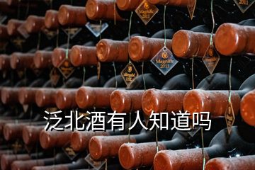 泛北酒有人知道嗎