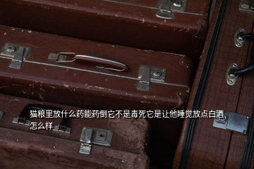 貓糧里放什么藥能藥倒它不是毒死它是讓他睡覺放點白酒怎么樣