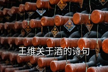 王維關(guān)于酒的詩句