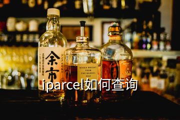 iparcel如何查詢