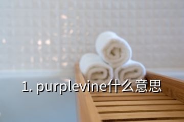 1. purplevine什么意思