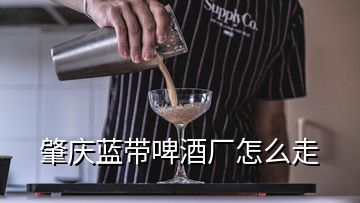 肇慶藍(lán)帶啤酒廠怎么走