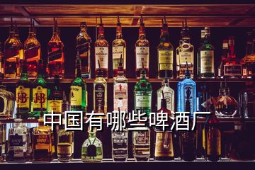 中國有哪些啤酒廠