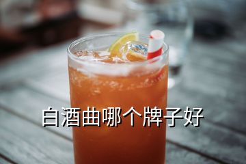 白酒曲哪個牌子好