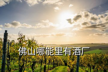 佛山哪能里有酒廠