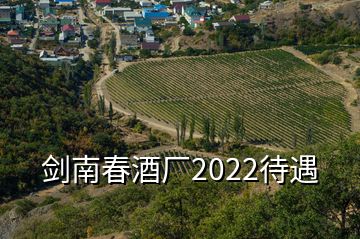 劍南春酒廠2022待遇