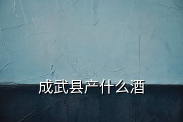 成武縣產什么酒