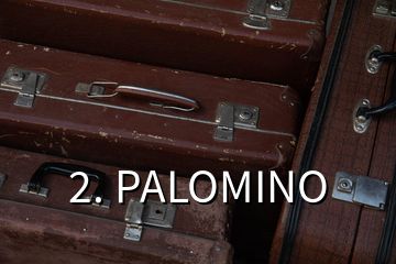 2. PALOMINO