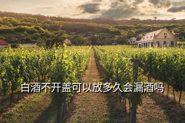 白酒不開(kāi)蓋可以放多久會(huì)漏酒嗎
