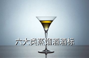 六大類蒸餾酒酒標