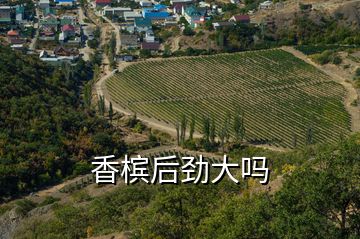 香檳后勁大嗎