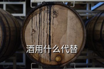 酒用什么代替