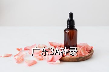 廣東3A補錄