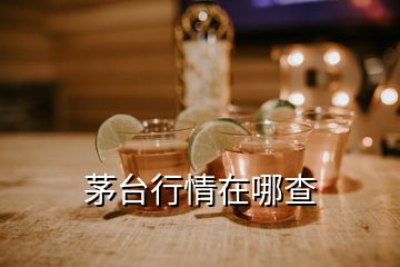 茅臺(tái)行情在哪查