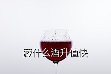 藏什么酒升值快