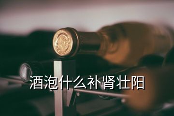 酒泡什么補腎壯陽