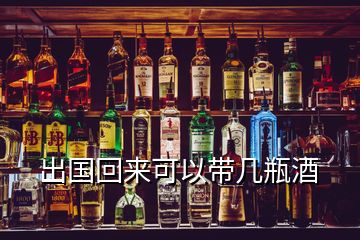 出國回來可以帶幾瓶酒