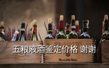 五糧液酒鑒定價(jià)格 謝謝