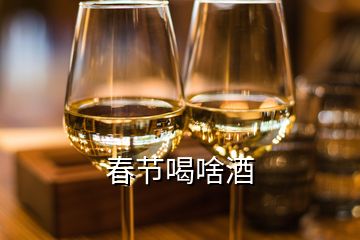 春節(jié)喝啥酒