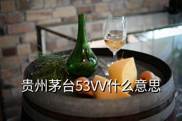 貴州茅臺(tái)53VV什么意思