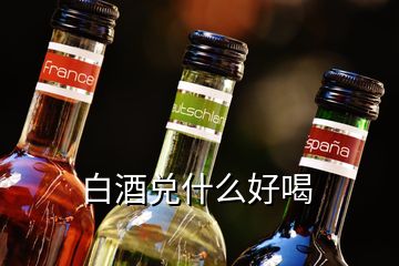 白酒兌什么好喝