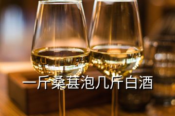 一斤桑葚泡幾斤白酒