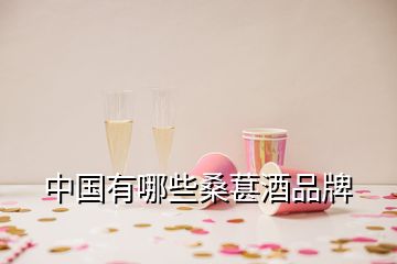 中國有哪些桑葚酒品牌