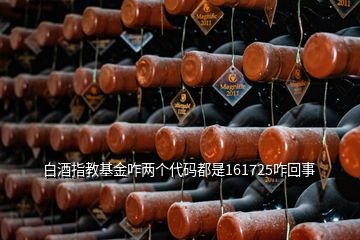 白酒指教基金咋兩個代碼都是161725咋回事