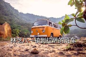 林芝八一鎮(zhèn)到拉薩的班車