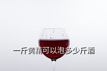 一斤黃精可以泡多少斤酒