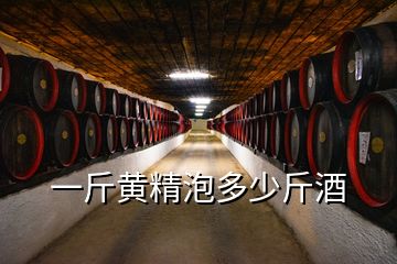 一斤黃精泡多少斤酒