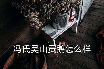 馮氏吳山貢鵝怎么樣