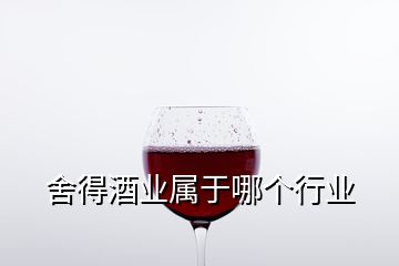 舍得酒業(yè)屬于哪個(gè)行業(yè)