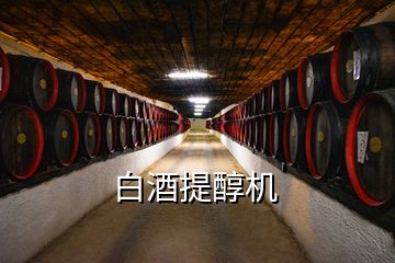 白酒提醇機