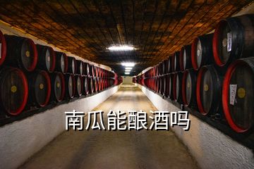 南瓜能釀酒嗎