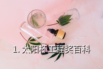 1. 太陽杯工程獎(jiǎng)百科