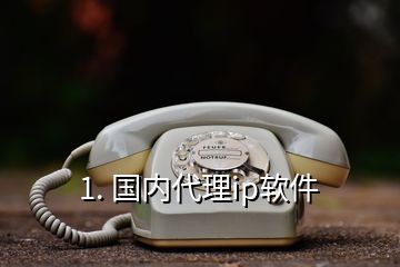 1. 國內代理ip軟件