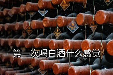 第一次喝白酒什么感覺(jué)