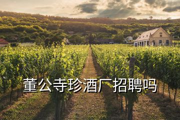 董公寺珍酒廠招聘嗎