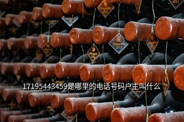 17195443459是哪里的電話號碼戶主叫什么