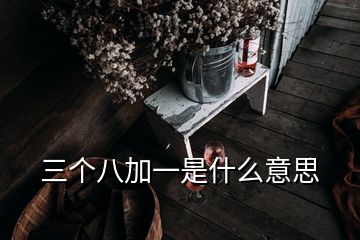 三個(gè)八加一是什么意思