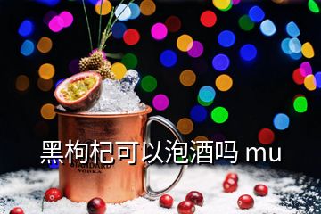 黑枸杞可以泡酒嗎 mu