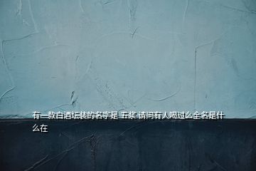 有一款白酒壇裝的名字是 五漿 請問有人喝過么全名是什么在